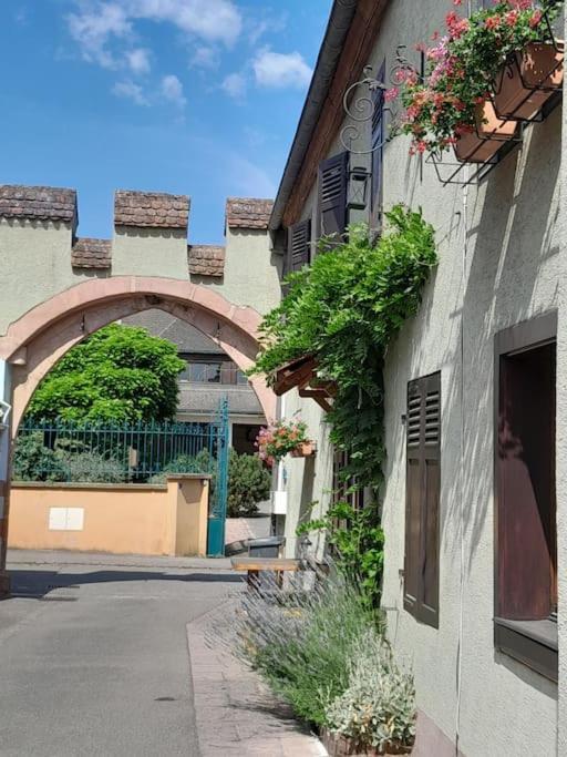 Gite Le3 Bergheim Dış mekan fotoğraf